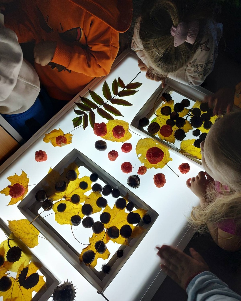 IMG ca38b3f5f31da7fa25336719b2fe6493 V