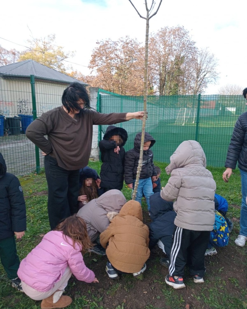 JPEG 20251203 143531 1841310491719562448