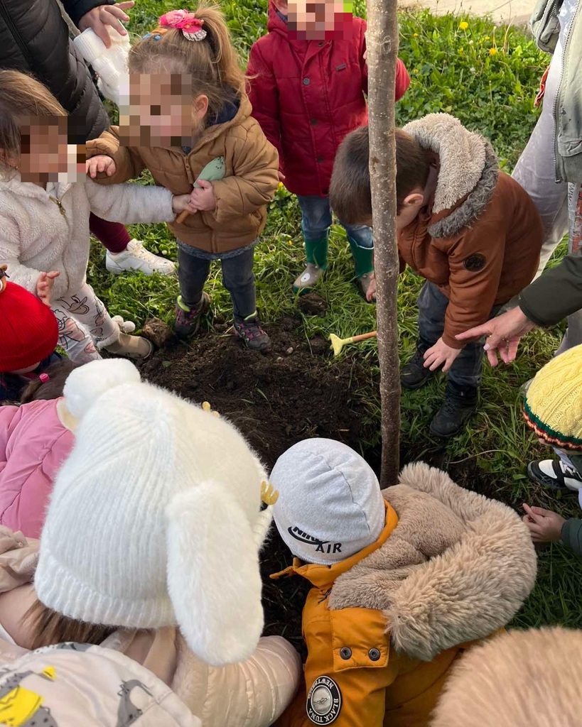 JPEG 20251203 143538 7343764483268063624