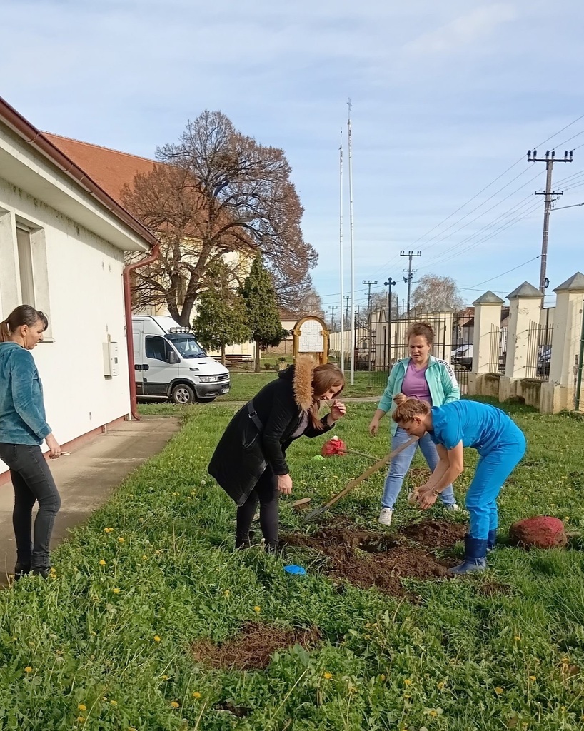 JPEG 20251203 143631 3909247380935501611